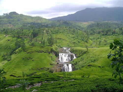 Galway Forest Lodge Hotel Nuwara Eliya Zewnętrze zdjęcie
